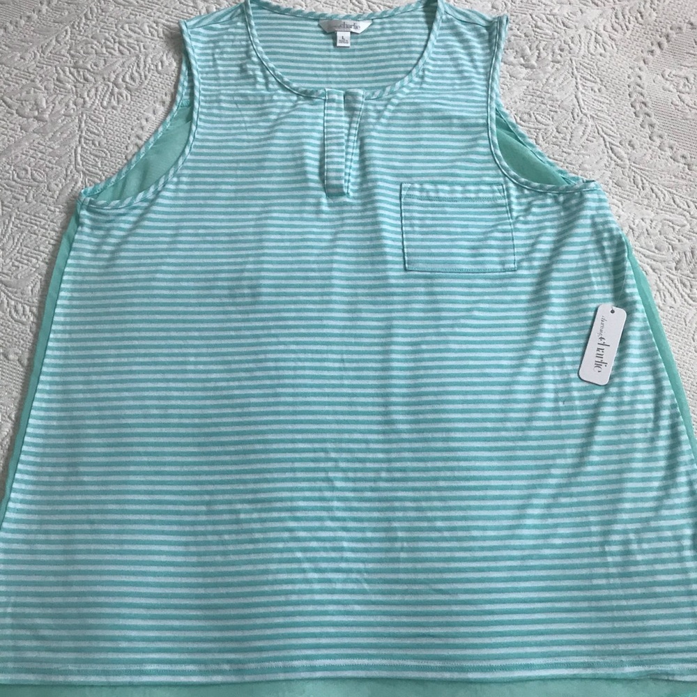 Sheer summer tank